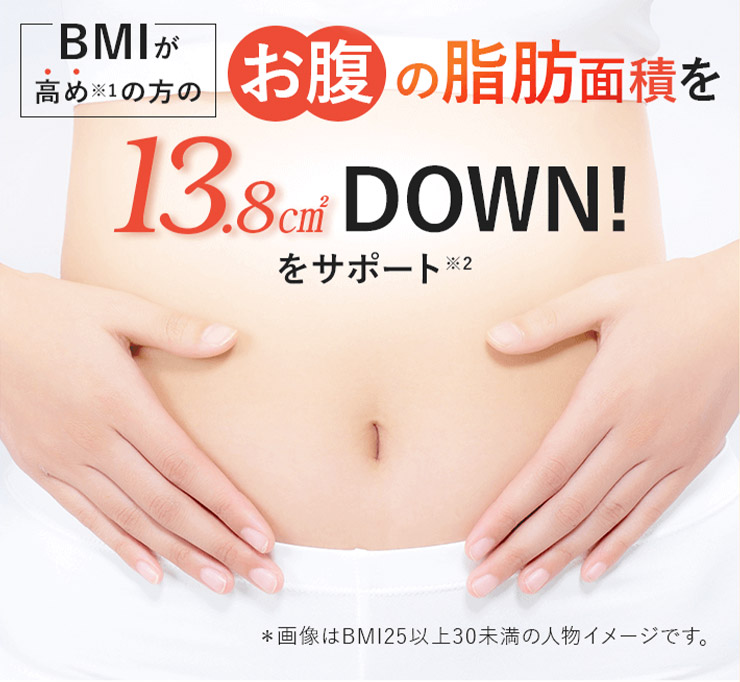 BMIが高めの方のお腹の脂肪面積を13.8c㎡DOWNをサポート